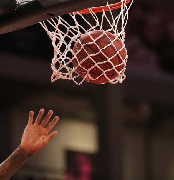 他的蛙泳不 他的蛙泳不